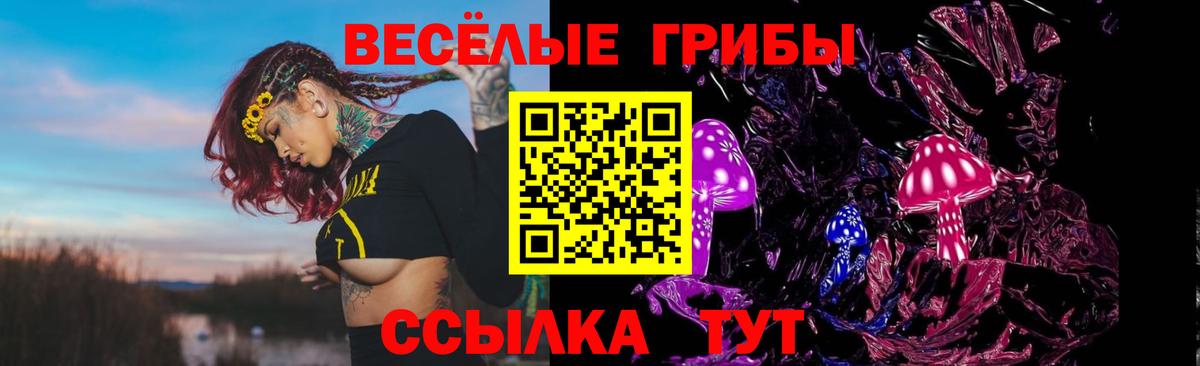 Галлюциногенные грибы прущие грибы Чайковский